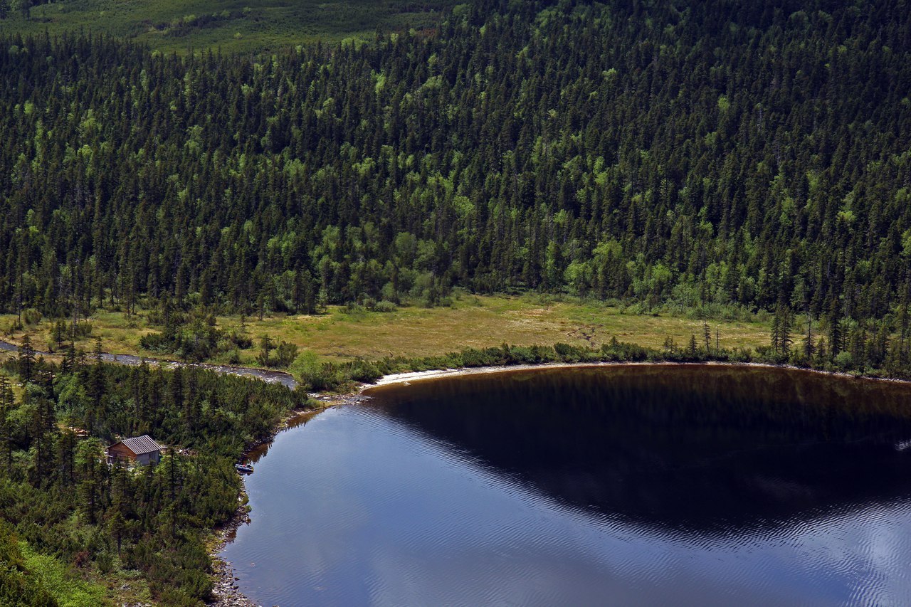 Сулук хабаровский край фото