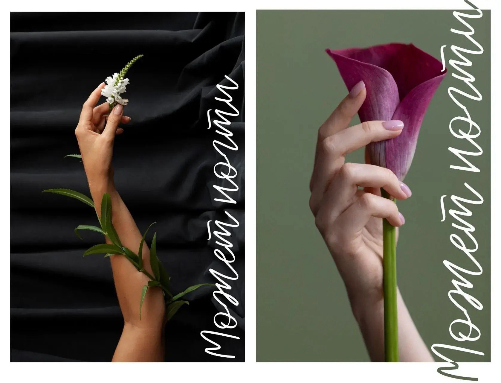 Студия красоты MAYBE NAILS?