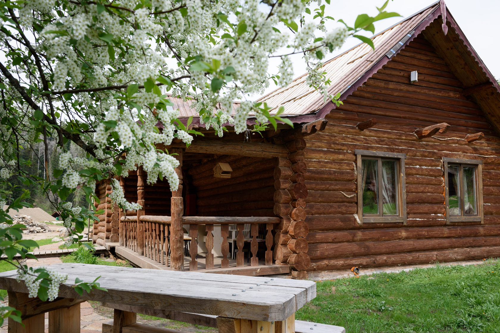 Деревенский домик таежная заимка. Лесная сказка таежная заимка алтай. Таежный угол алтай. Эко отель таежный алтай. Таежный 1 2 3 4.