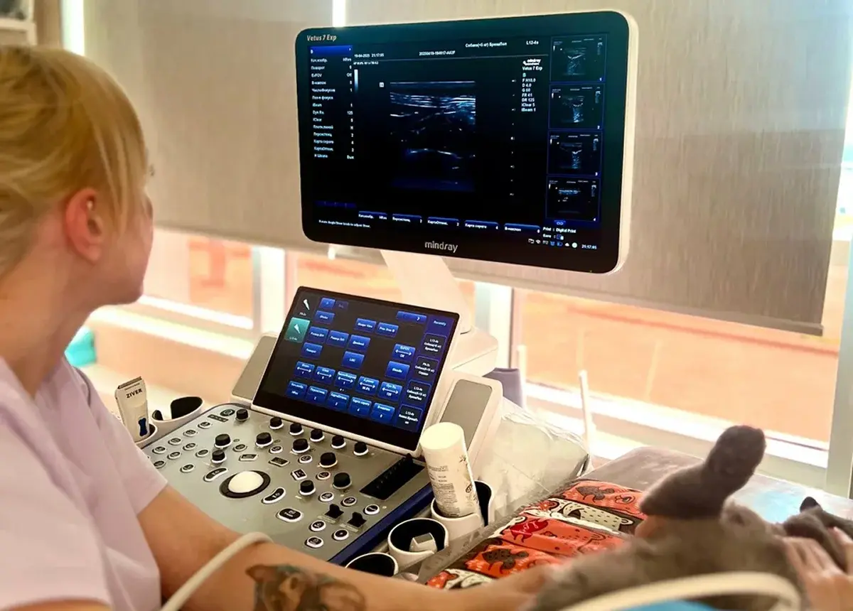 Ветклиника