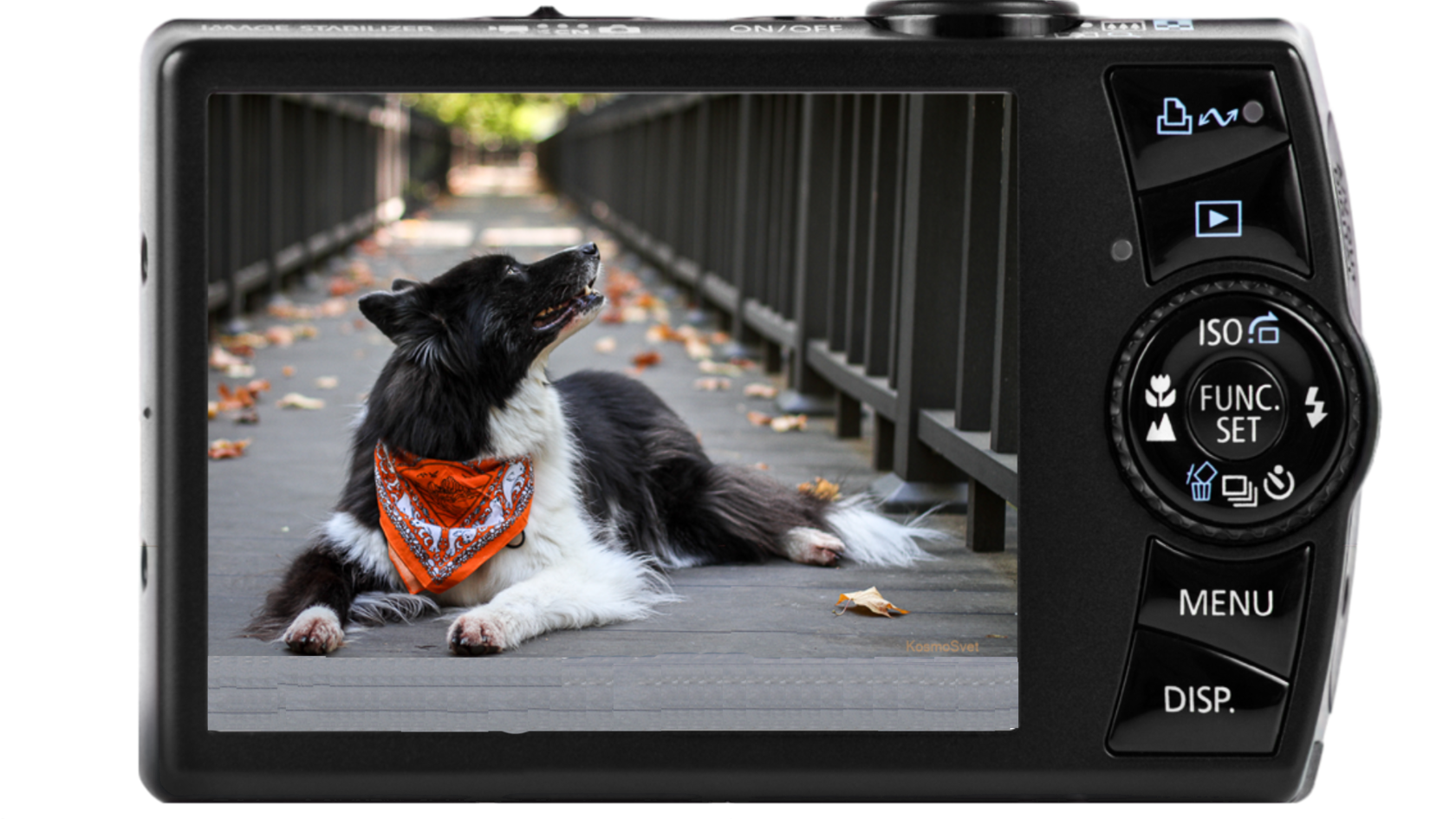 Фотограф Анималист в изометрии