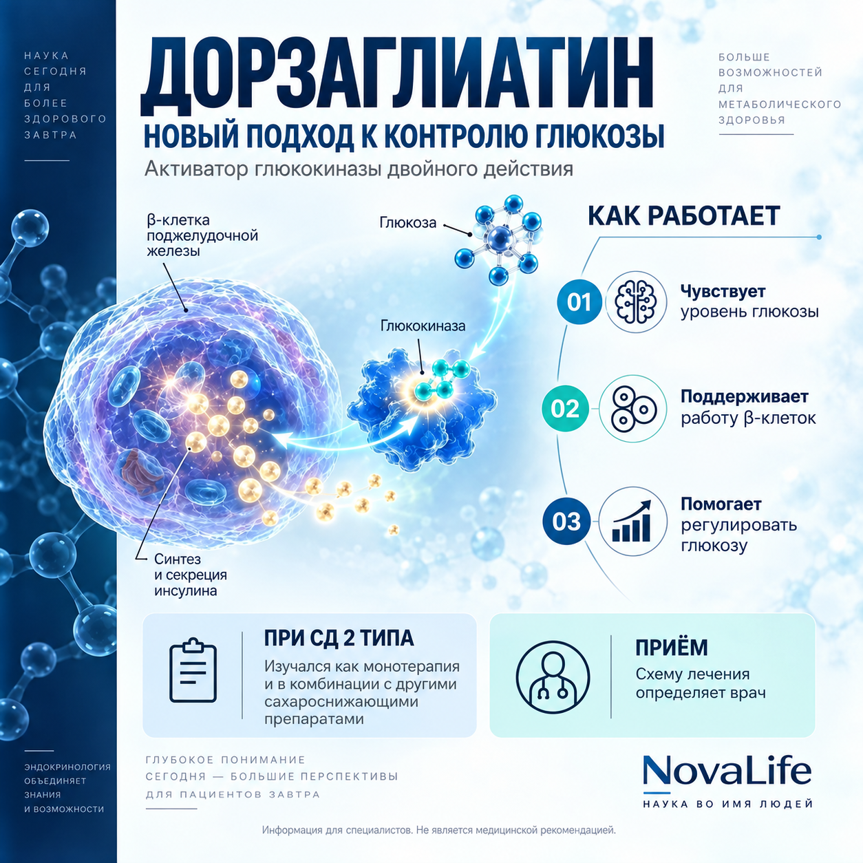 Клеточный механизм действия глюкокиназы: β-клетка поджелудочной железы, глюкокиназа и секреция инсулина