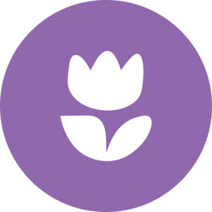 website icon