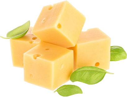 производство сухих ингредиентов, сухие ингредиенты купить, сухой сыр, производство сырного порошка, сырный порошок, сырный порошок купить, сухая сметана, сухие сливки, сухой творог, сухой йогурт, казеинат купить, FineCheese