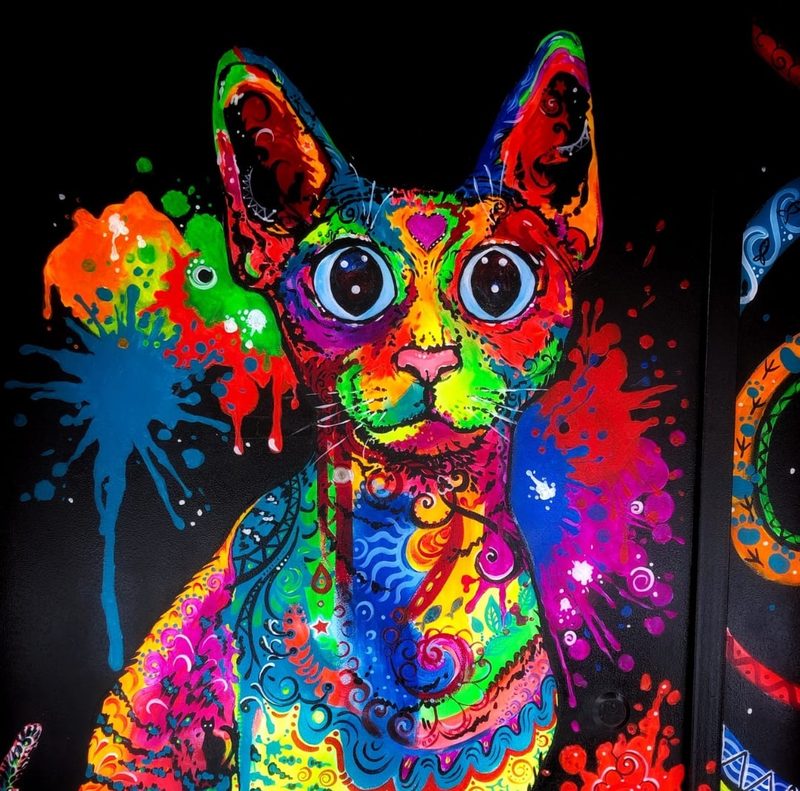 Anibaru The Cat