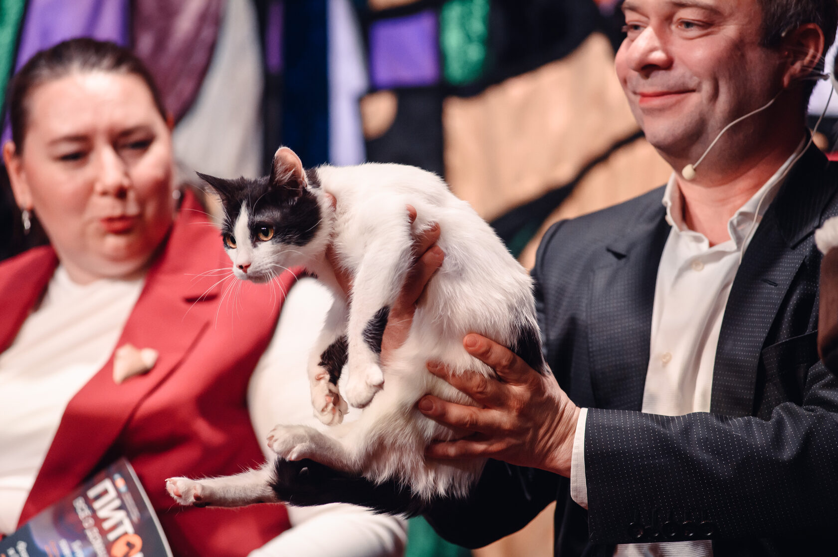 Театр кошек Куклачева выпустил спектакль с участием животных из зоны боевых действий