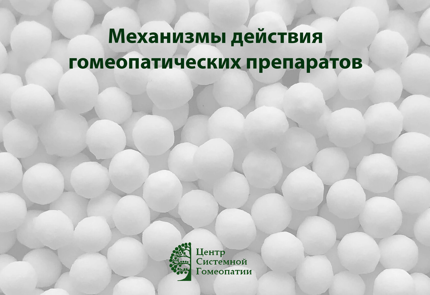 Системная гомеопатия на басманной