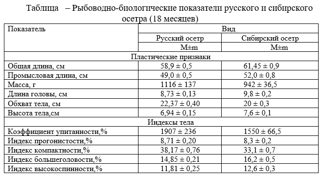 Рыбоводно-биологические показатели русского и сибирского осетра 18 месяцев