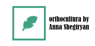orthocultura by Anna Shegiryan