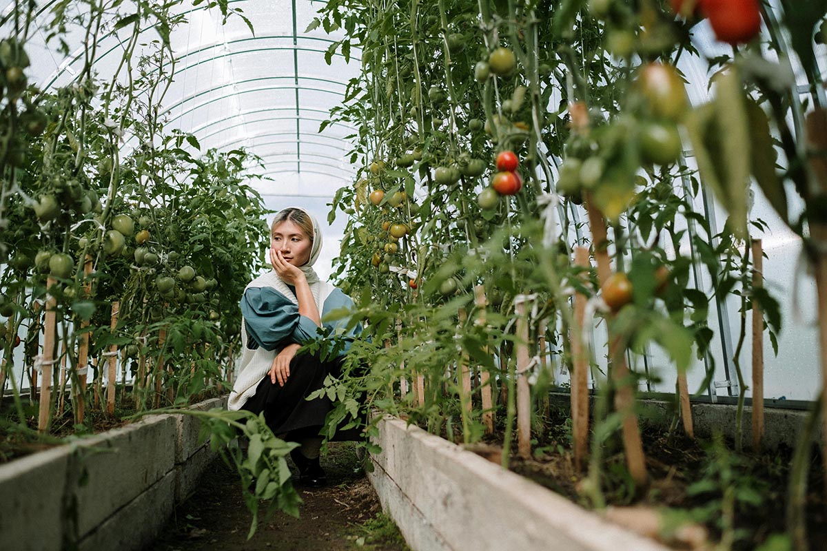 Woman in a greenhouse surrounded by tomato plants, emphasizing vertical gardening techniques for high-yield vegetable gardening.