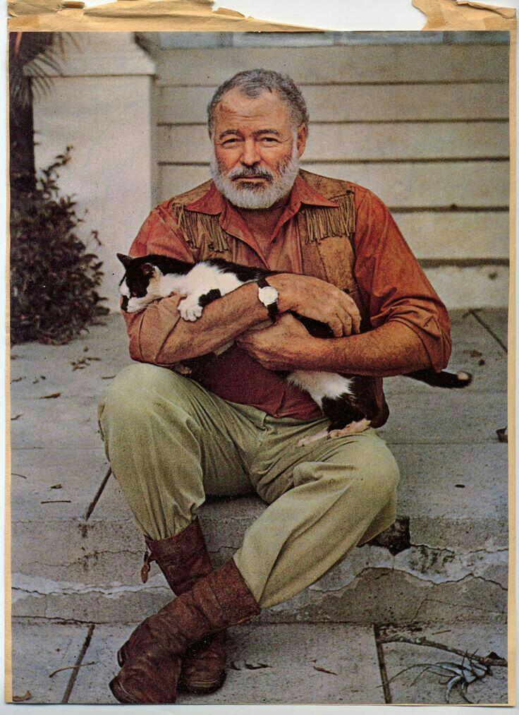 an analysis of the setting and writing style in ernest hemingways cat in the rain The complete short stories of ernest hemingway summary & study guide apparent talent in writing is in cat in the rain, out of season, in another. an analysis of the setting and writing style in ernest hemingways cat in the rain The complete short stories of ernest hemingway summary & study guide apparent talent in writing is in cat in the rain, out of season, in another.