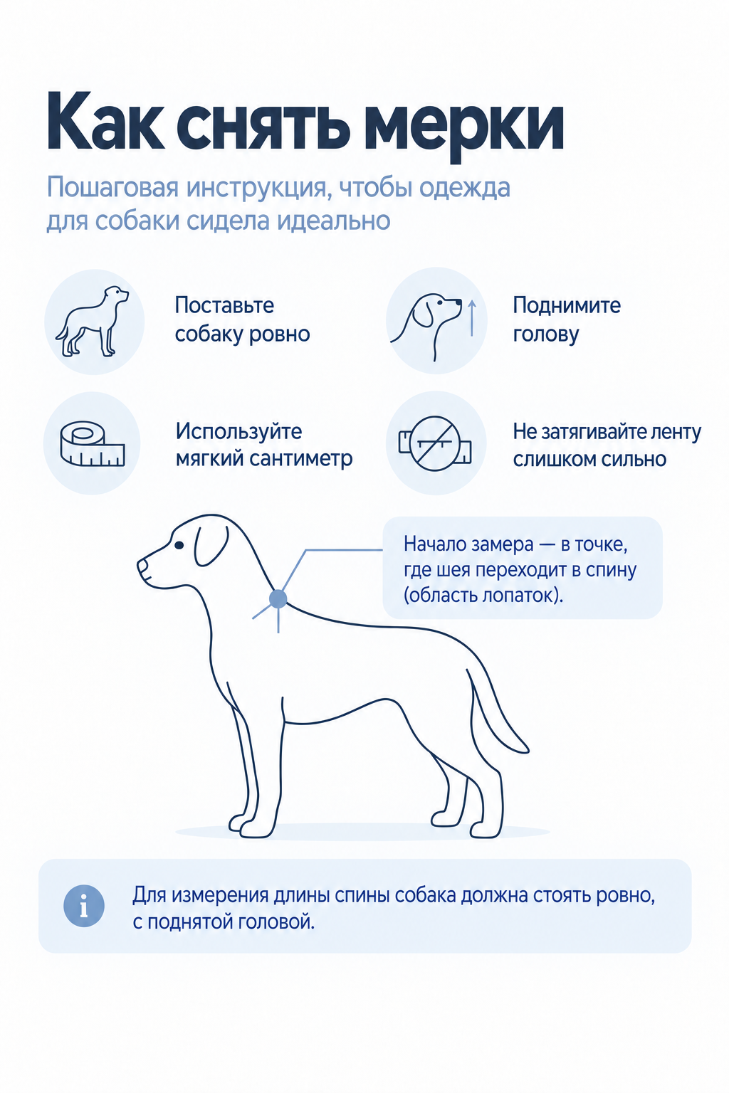Как подготовить собаку к снятию мерок