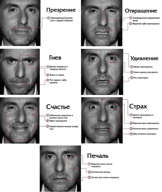 Теория лжи проект