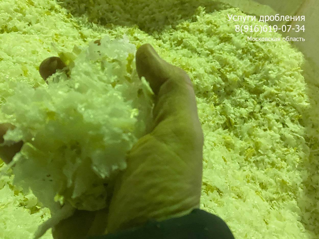 Услуга дробления пластика в Москве по низкой цене с доставкой: 6,5 ...