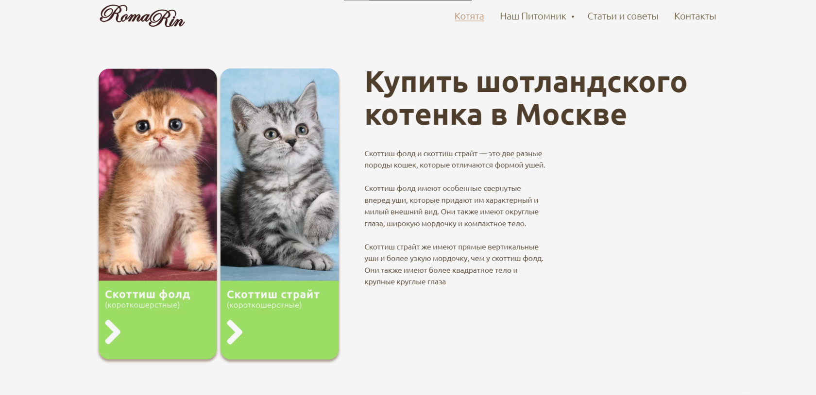 Купить шотландского вислоухого котенка в Москве не дорого