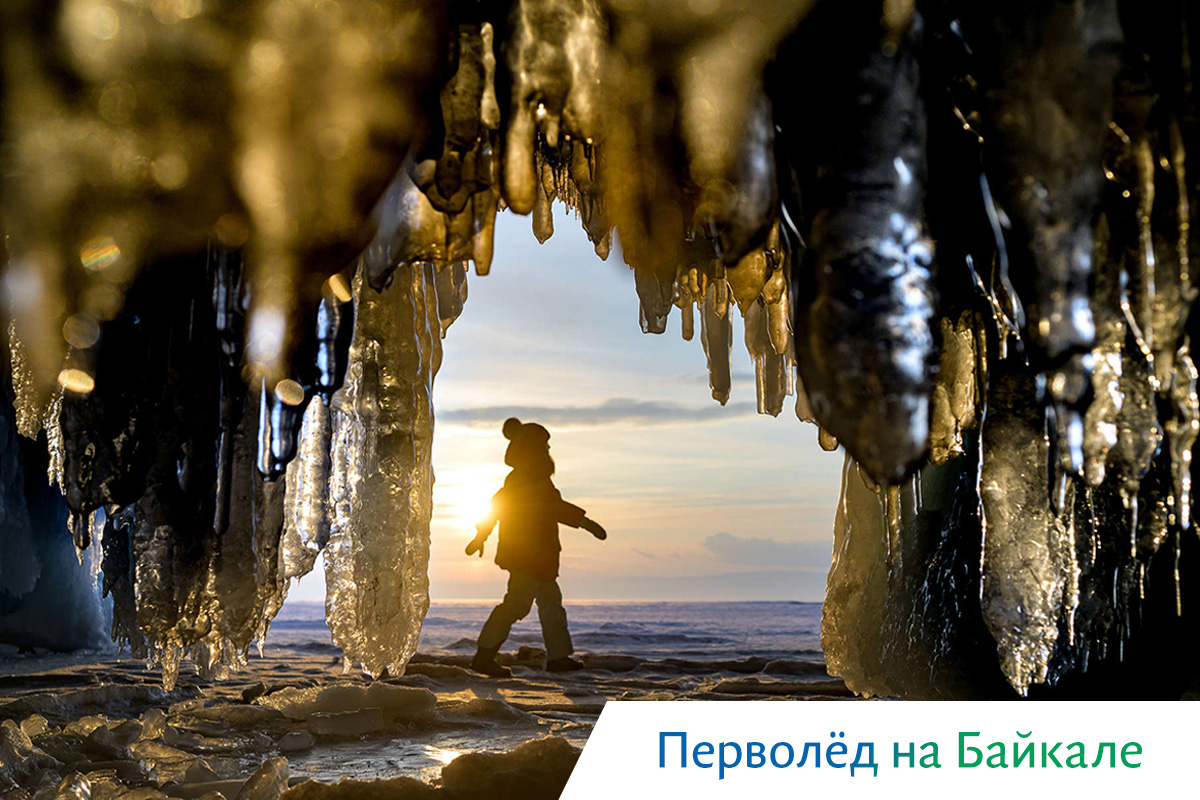 киты в охотском море