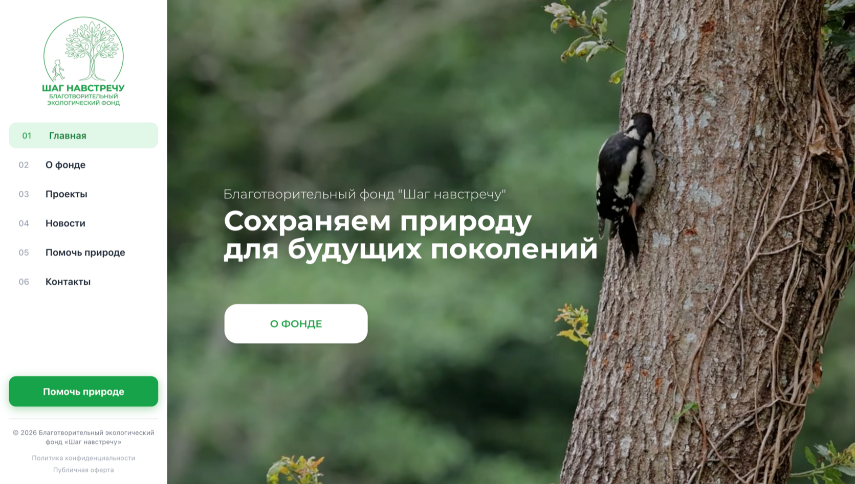 Экологический фонд