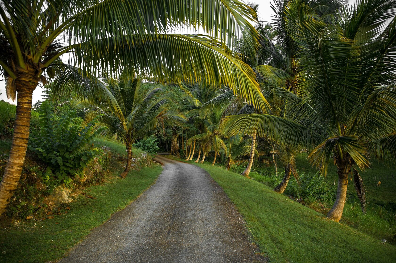 what is the capital of jamaica, jamaica capital, capital of jamaica, was portland once jamaica&amp;amp;amp;amp;#39;s capital