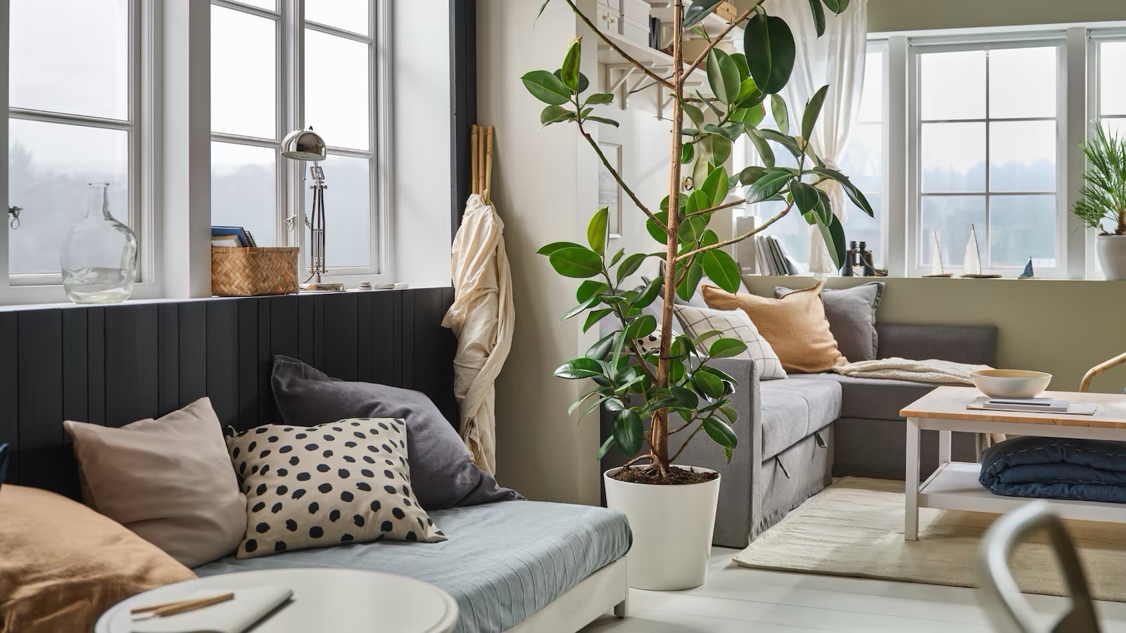 ИКЕА из Польши Калининград