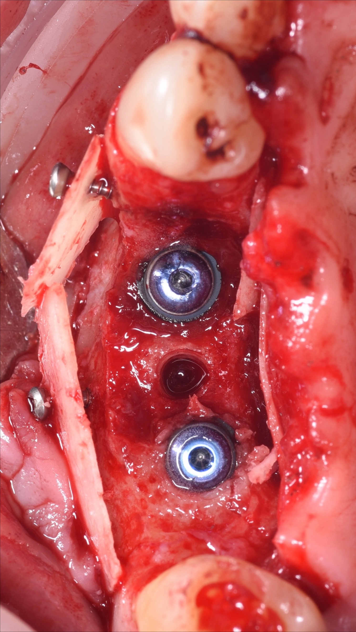 Фото с конференции 