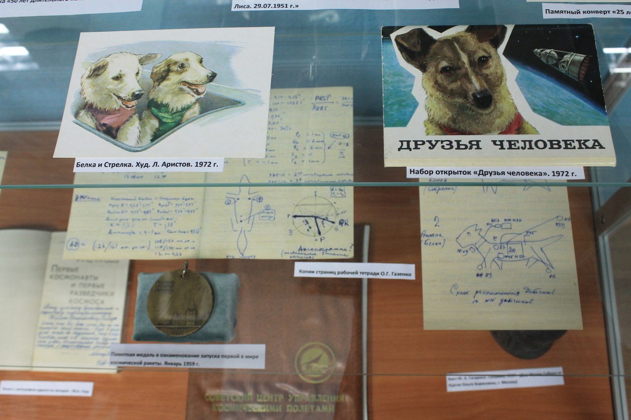 Dog museum