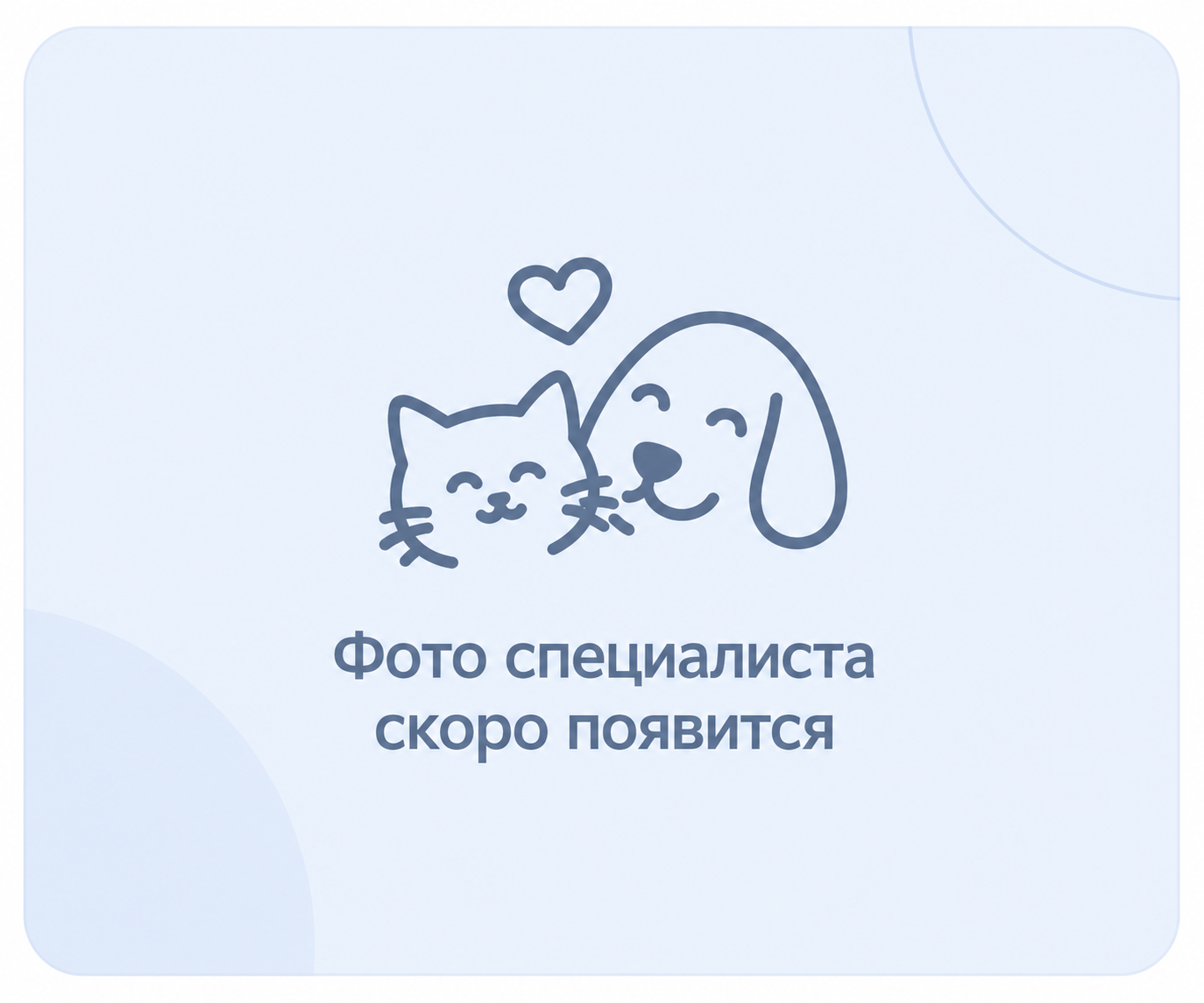 Дарья Вавилина — ветеринарный врач клиники Кот Тишка