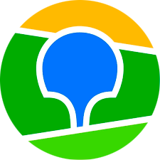 website icon