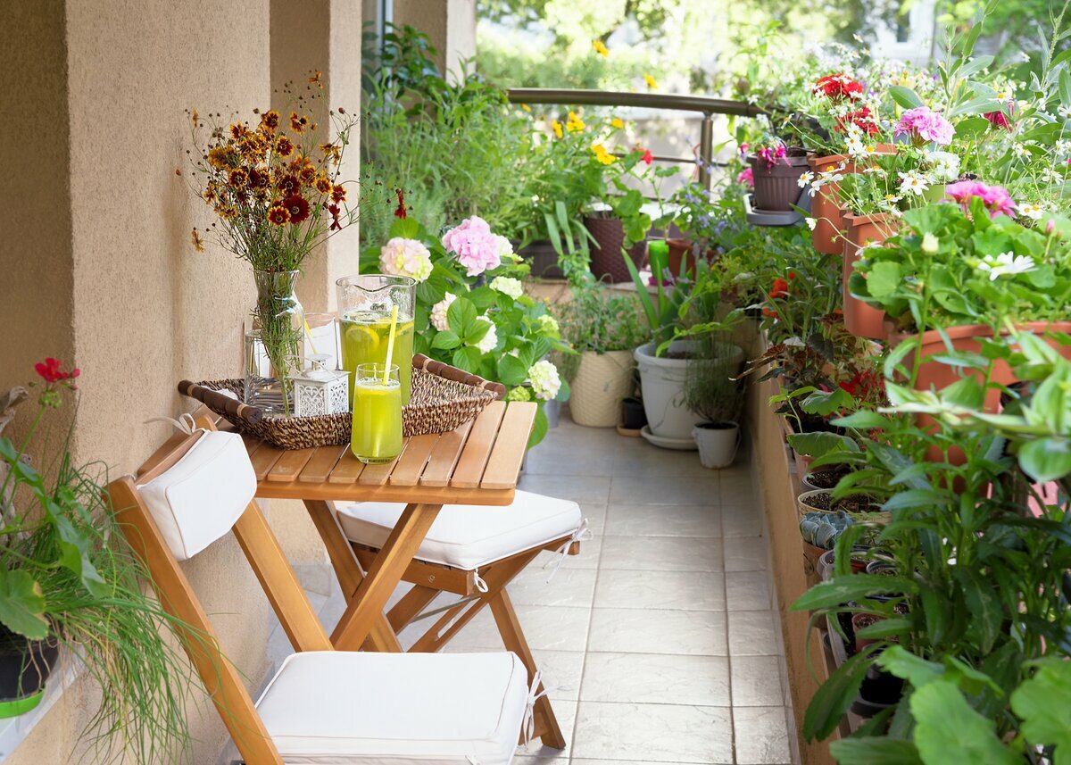 Цветущий сад на балконе: какие растения посадить