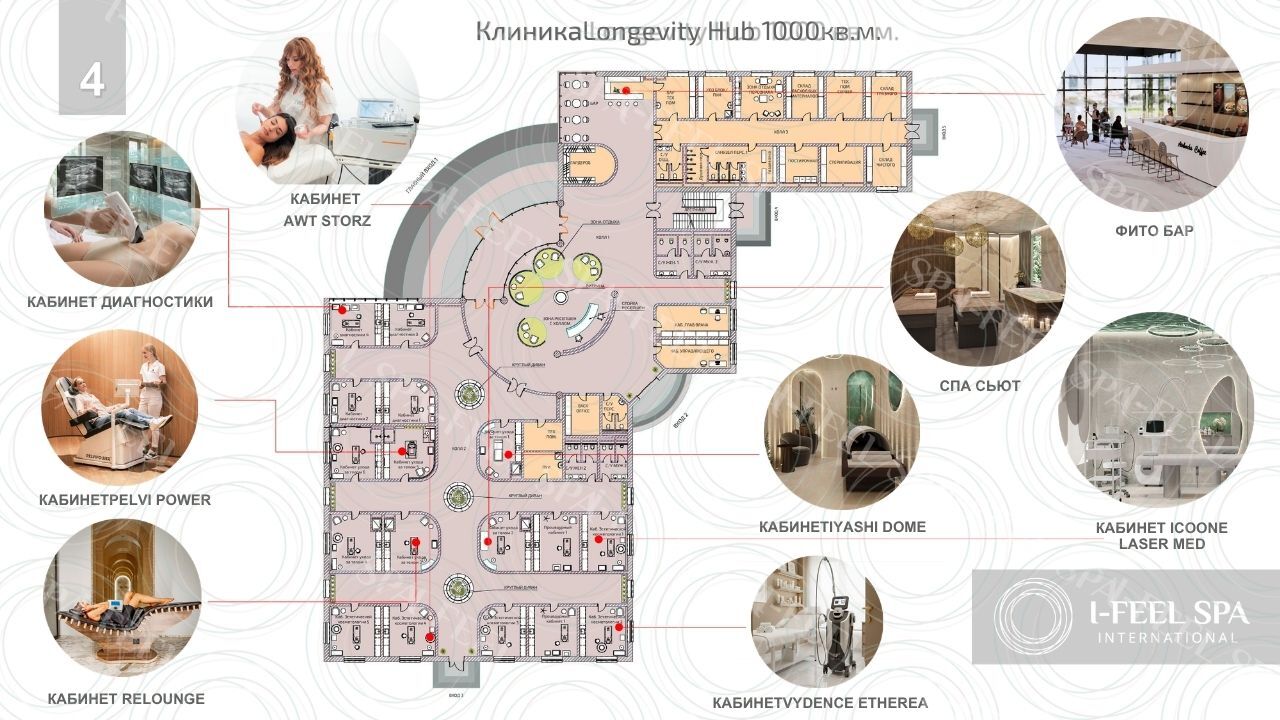 План клиники Longevity Hub 1000 кв. м с расстановкой кабинетов и оборудования