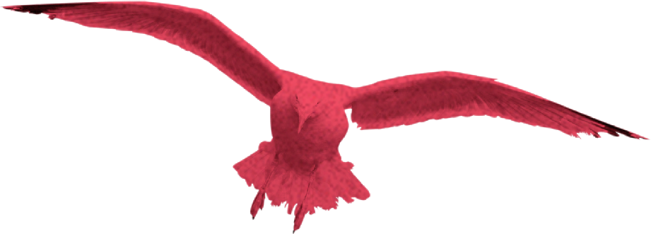 Обучение «Курс Scrum Master (школа OKademy)» — курс в компании ScrumTrek