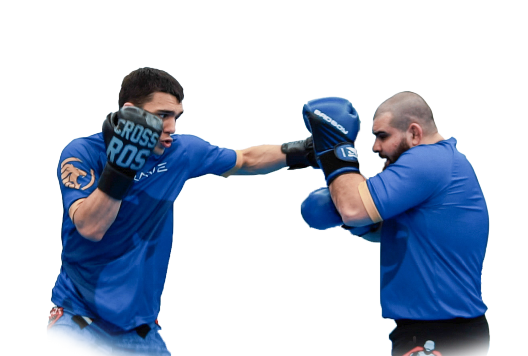 �������� ��������: ����.