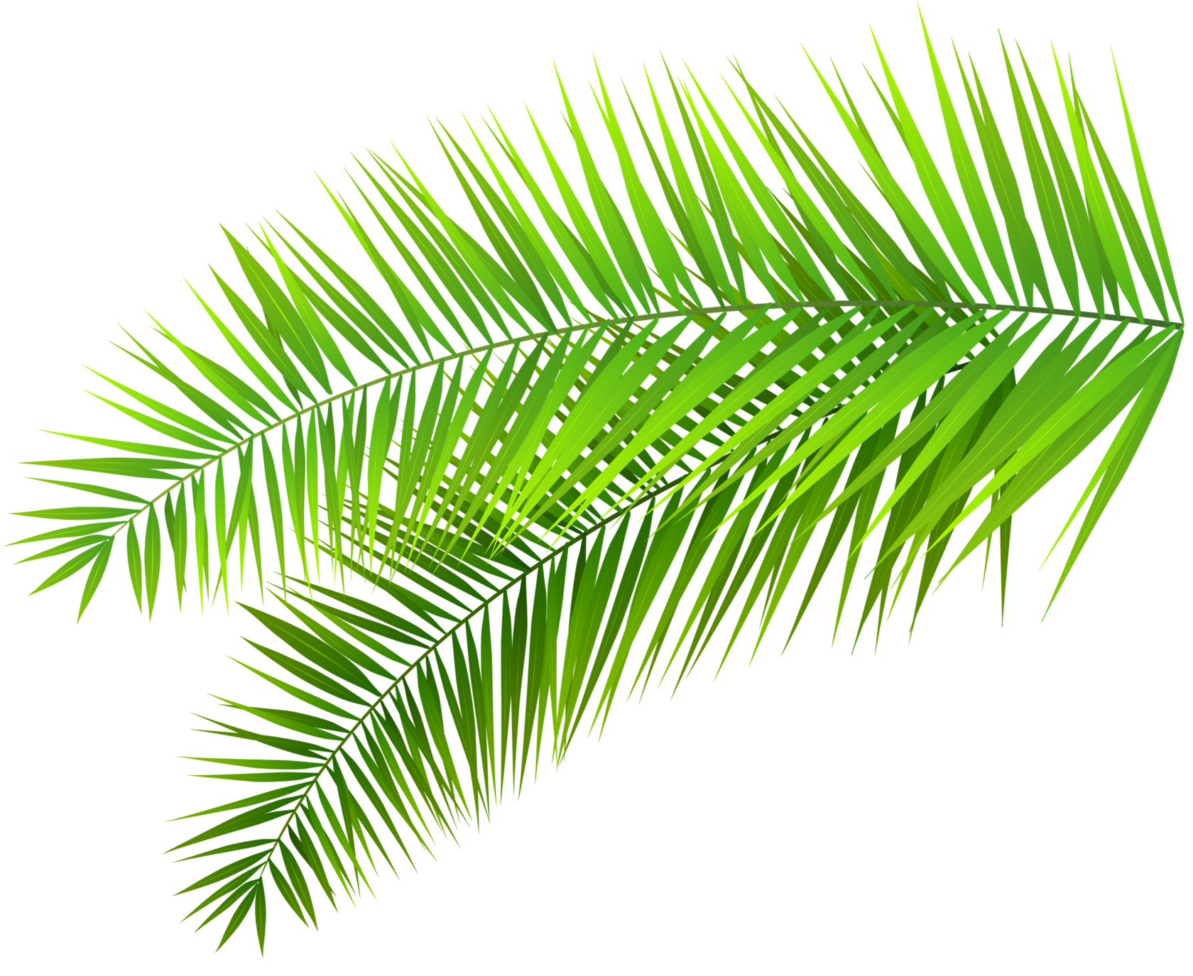 Студия эпиляции и аппаратной косметологии Elektro Epill в Мытищах