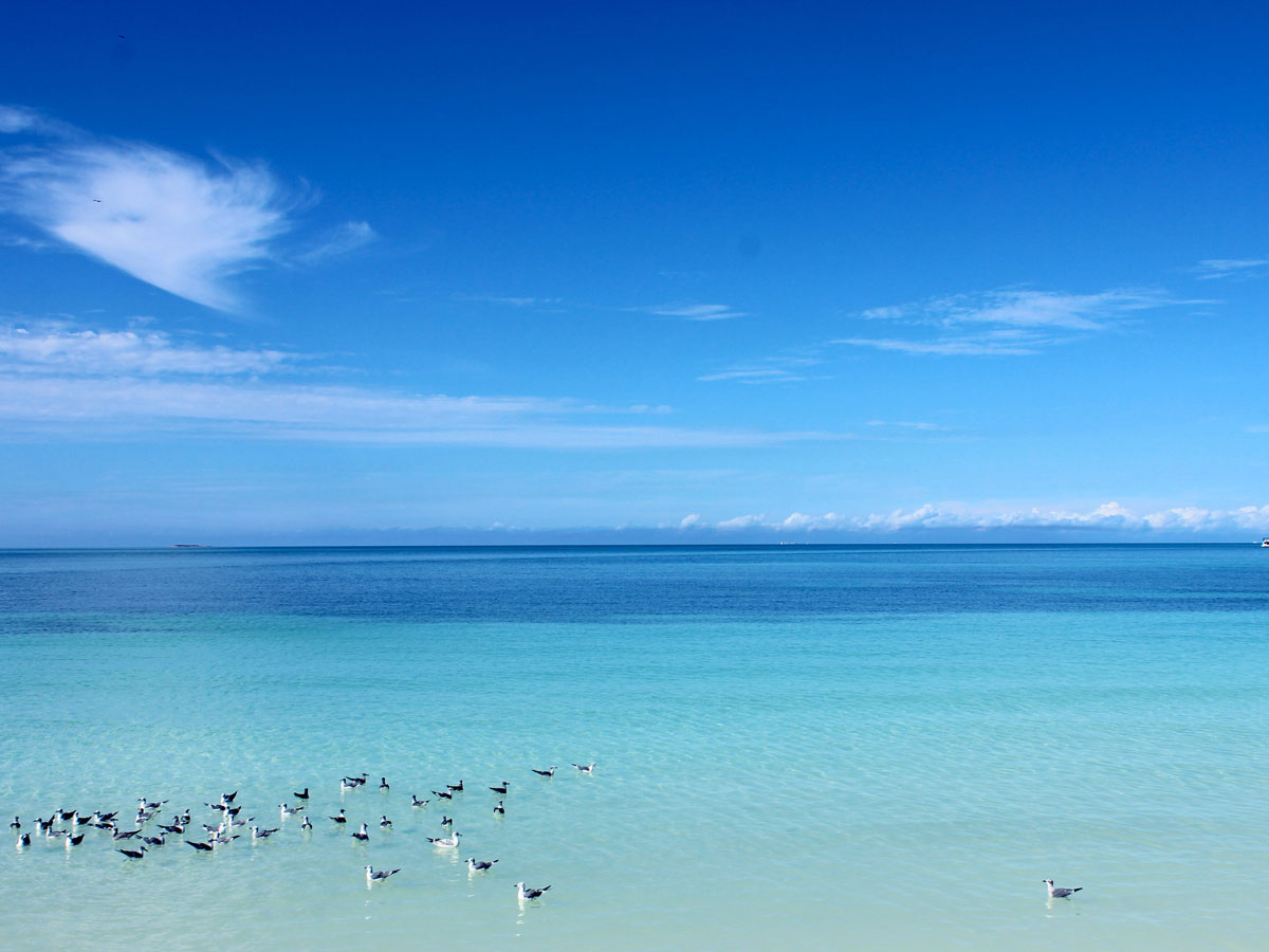 На фото: пляж Варадеро на острове Куба