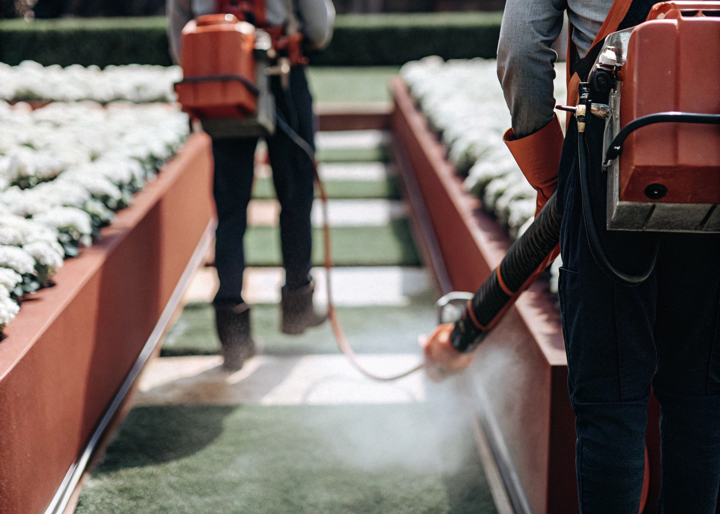 Обработка от клещей