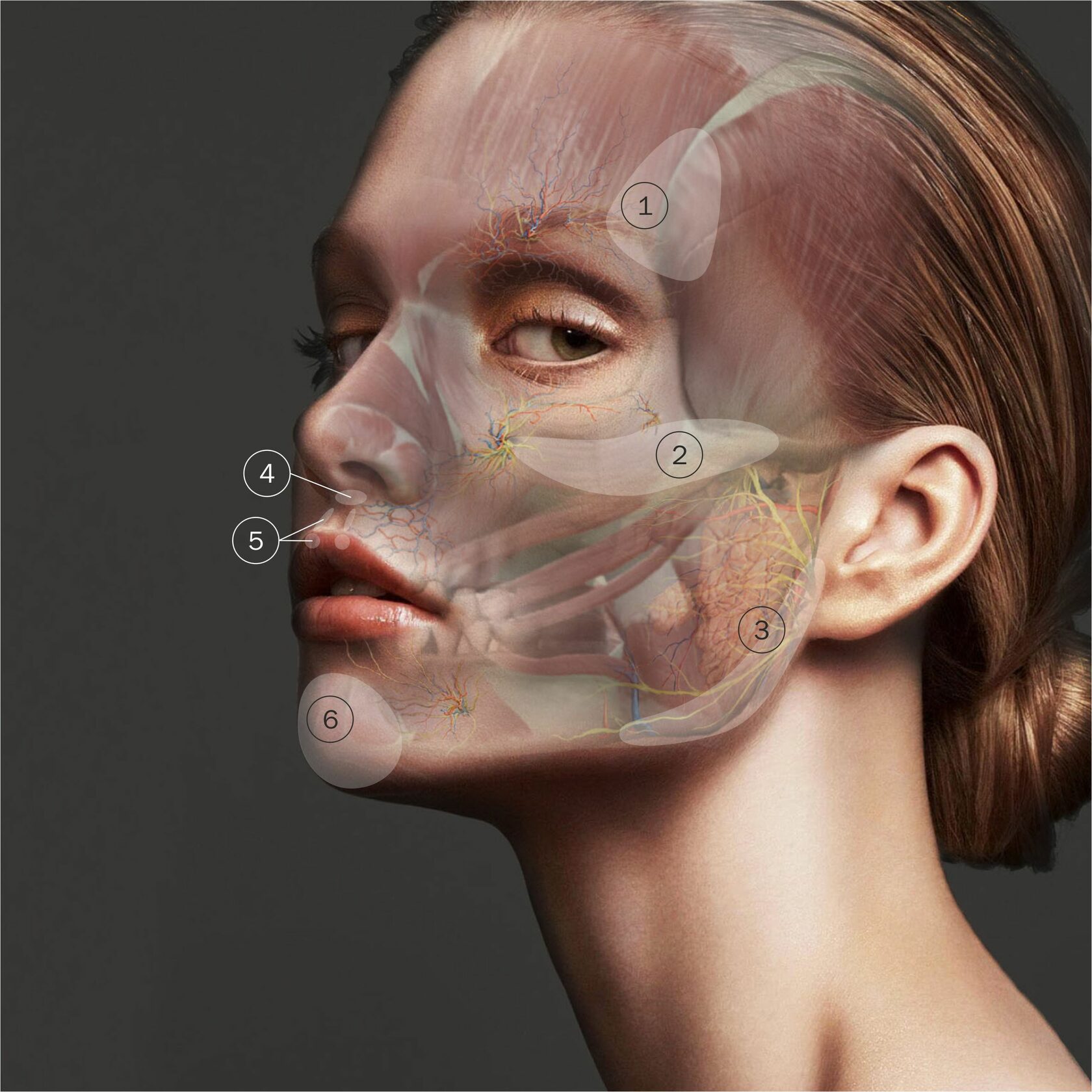 Face Lift опасные зоны