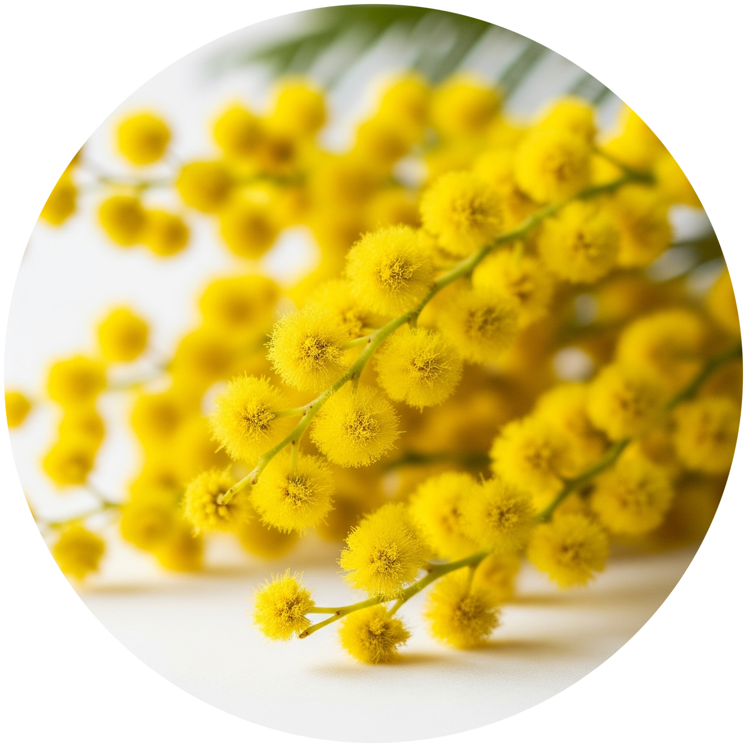 Серно-цинковый крем с бисабололом 