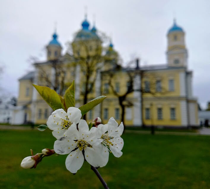 Коневский Рождество-Богородичный монастырь