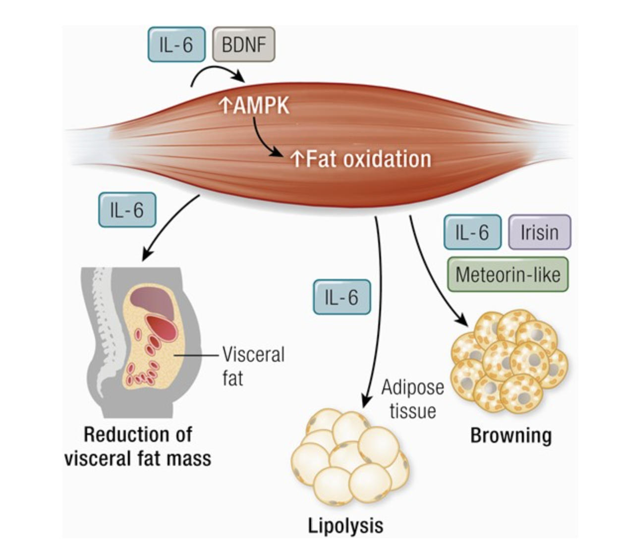 Ein Bild, das Text, Screenshot enthält.
KI-generierte Inhalte können fehlerhaft sein.