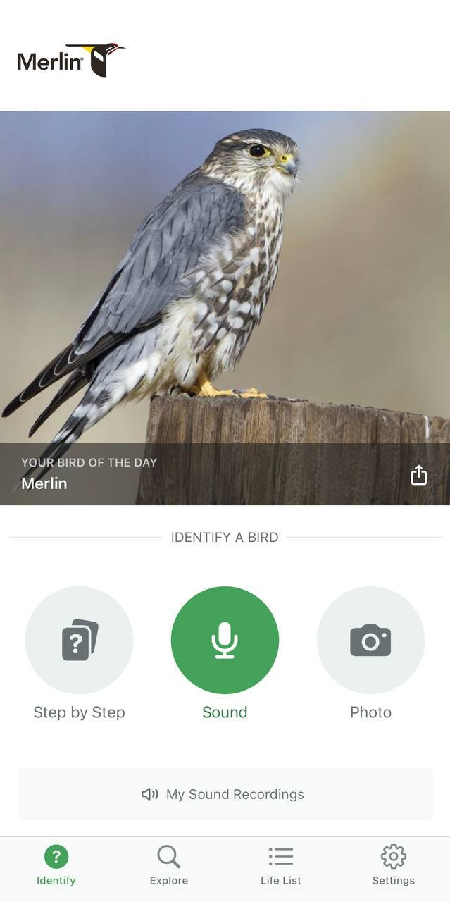 Появился Shazam для птиц — приложение Merlin Bird ID. Работает просто: включаете запись, и через пару секунд он скажет, кто…