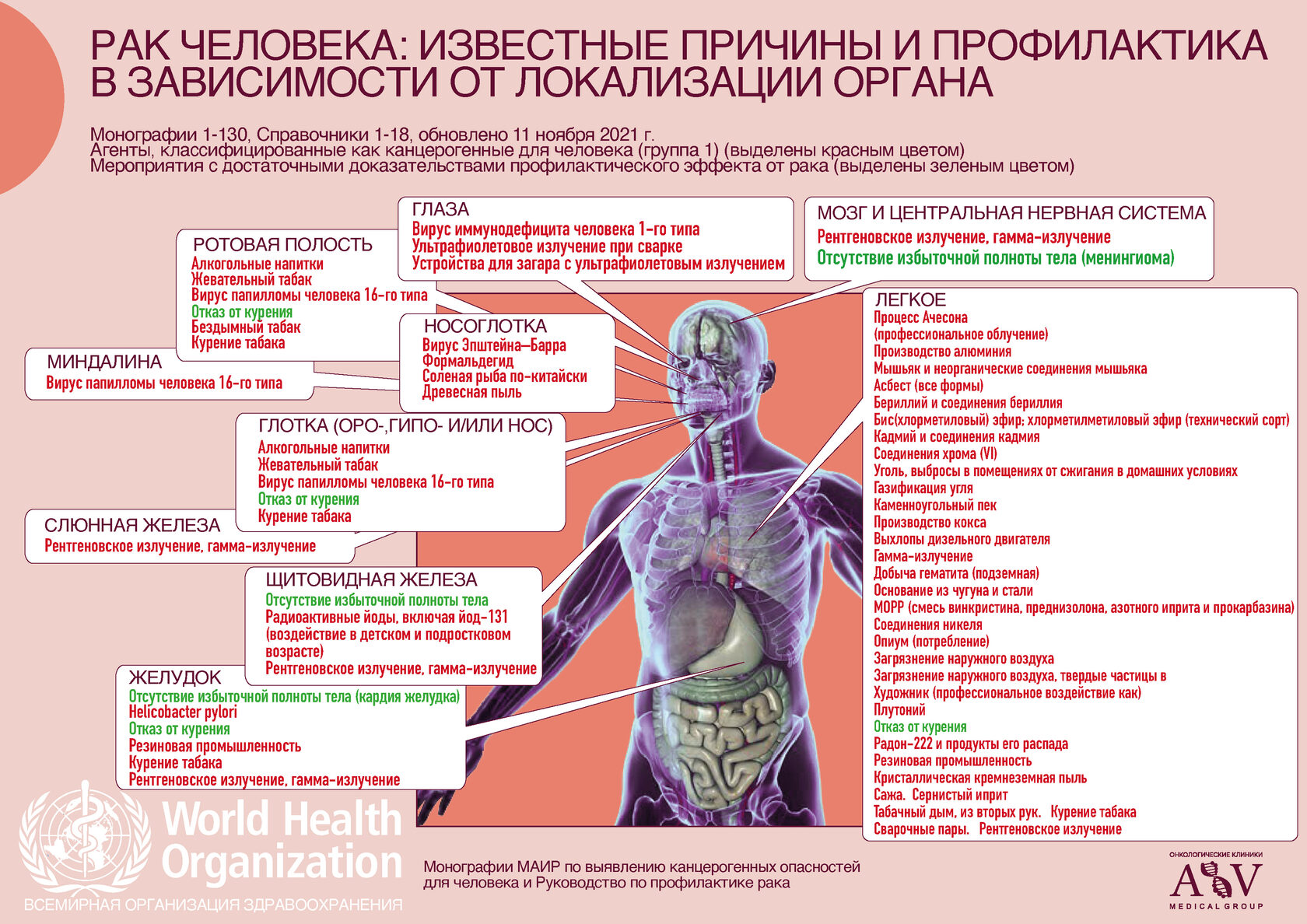 Почему онкология. Причины онкологии. Онкология люди известные люди. Маир программа по выявлению канцерогенных опасностей для человека. Маир группы канцерогенов.