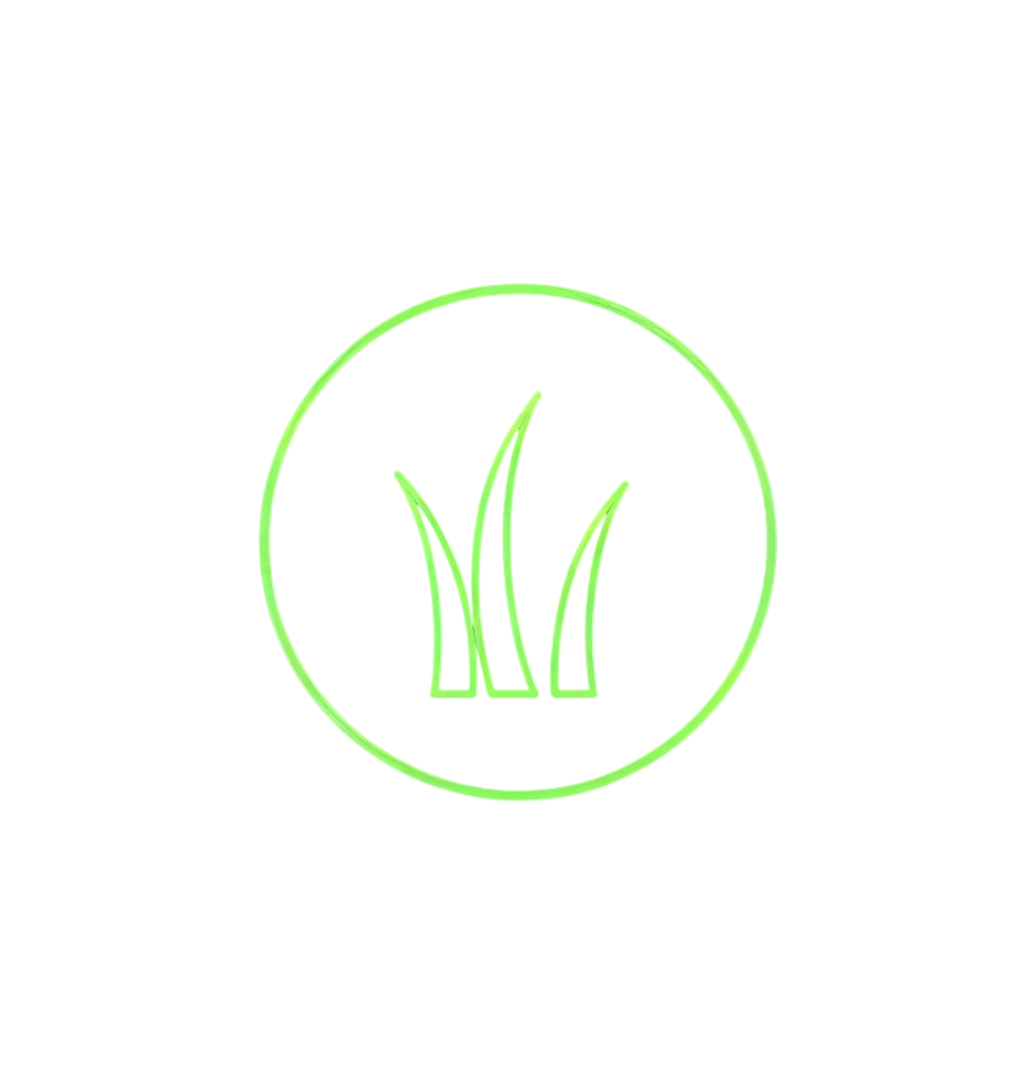 Городской газон