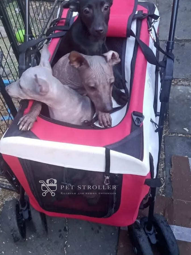 Коляска прогулочная для собак bl09 отзывы