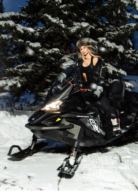 Снегоходы AODES