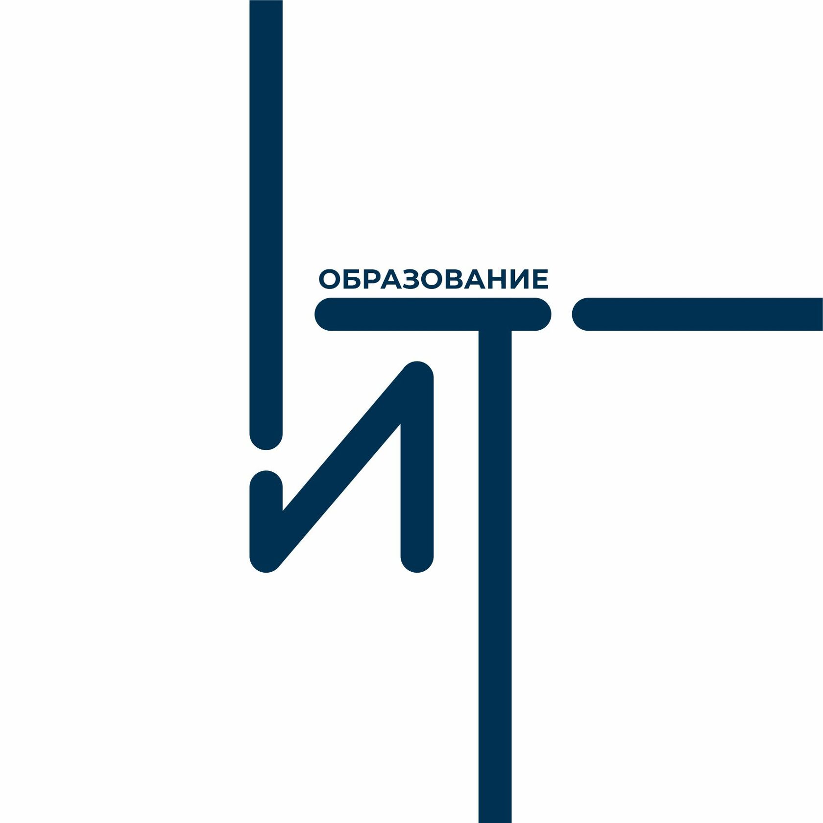 Высшее ИТ образование в Рязанской области