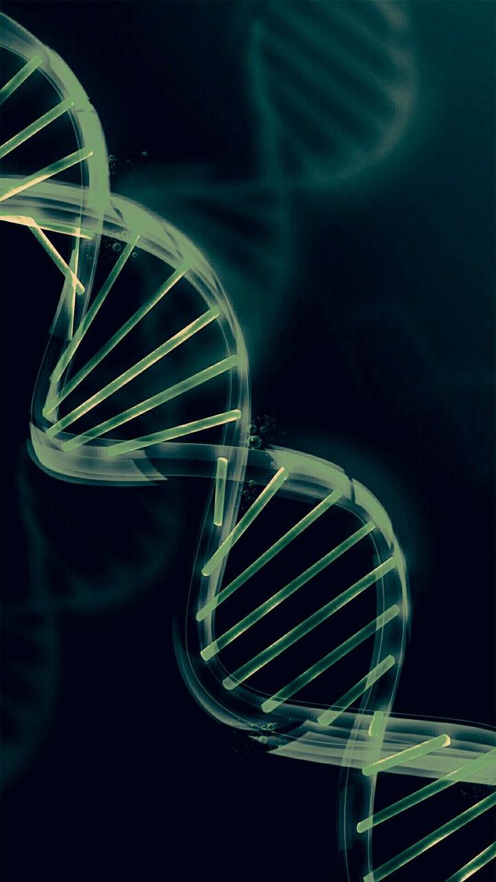 Генетический тест