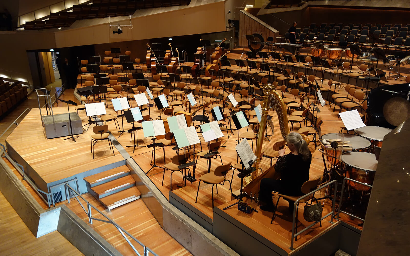 Фото Art Music Orchestra