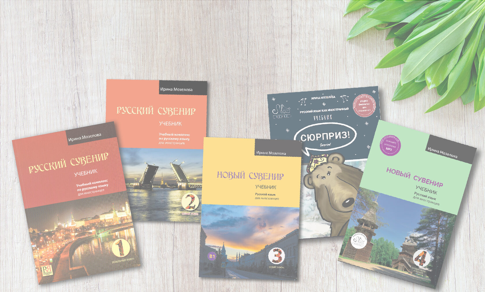 SHOP ONLINE BOOKS visual data 3