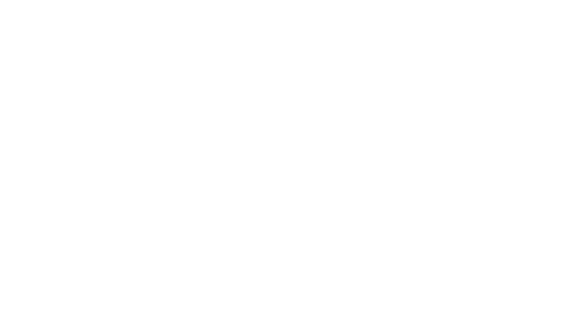 Garant Blok Shaft