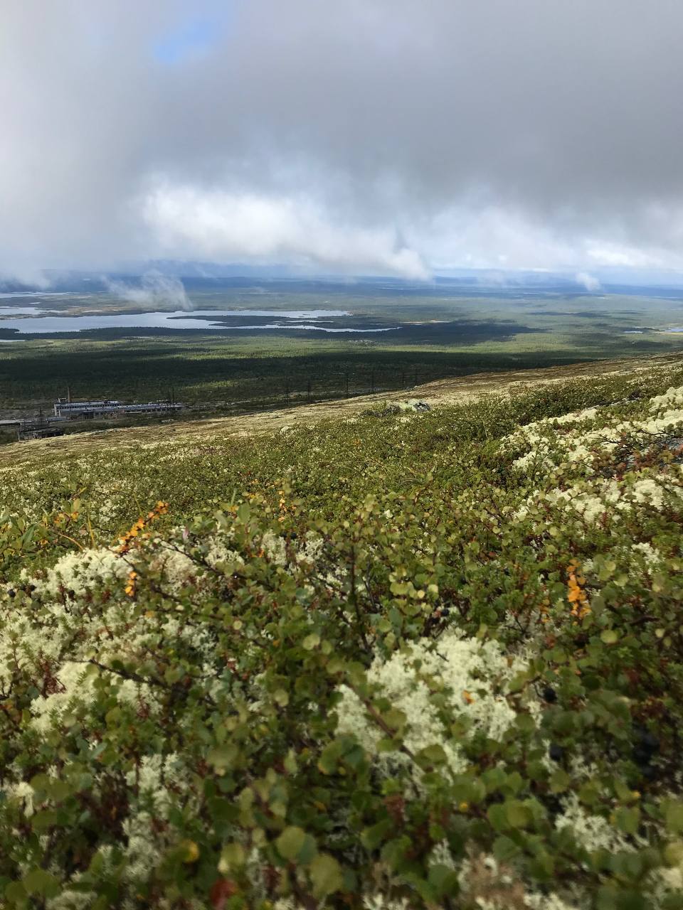 Однодневный тур «Ловозерские тундры» по привлекательной цене |  Arctic-Freedom