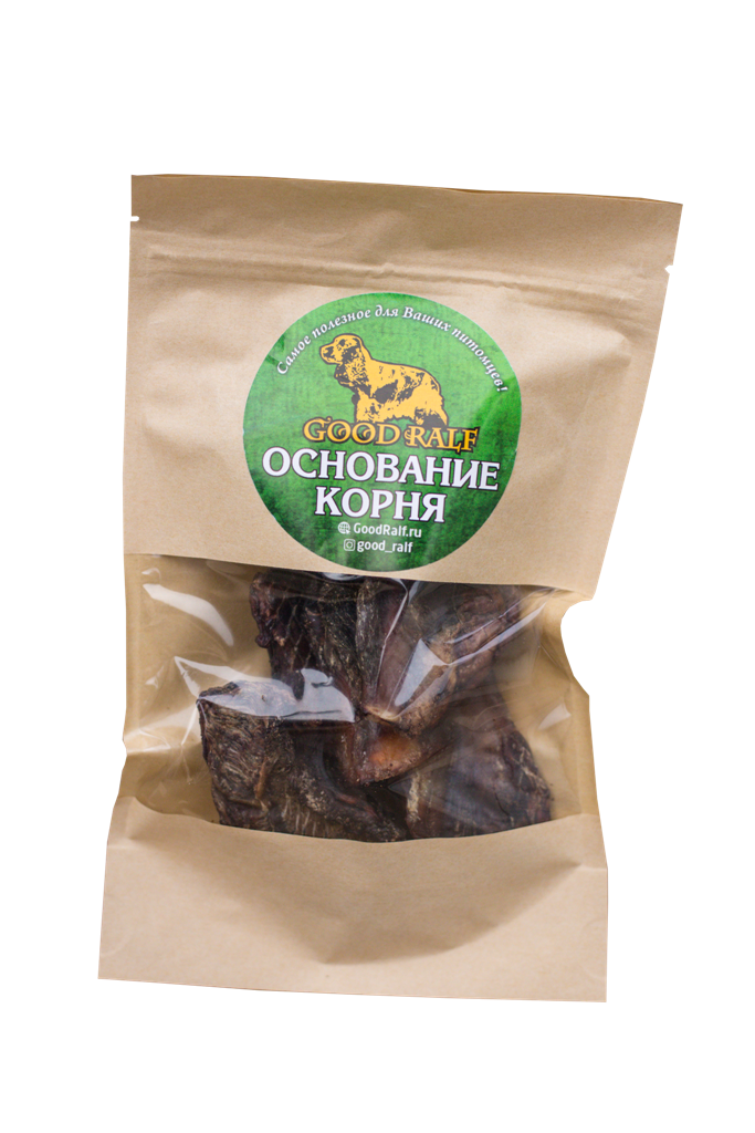 Ель обыкновенная корневая система. Типы корневых систем у растений. Мочковатая корневая система (ель). Основание корень. Логарифм в степени.